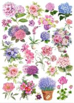 Little Birdie Deco WATER TRANSFER DECAL Sheet - Image 5