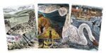 Softcover Angela Harding WILDLIFE SET Of 3 Standard Notebooks - Image 2