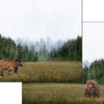 Scrapbook Customs BEAR DS Watercolor 12"X12" Scrapbook Paper