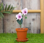 Crafter’s Companion Garden Florals ORCHID BUNDLE Flower Die - Image 3