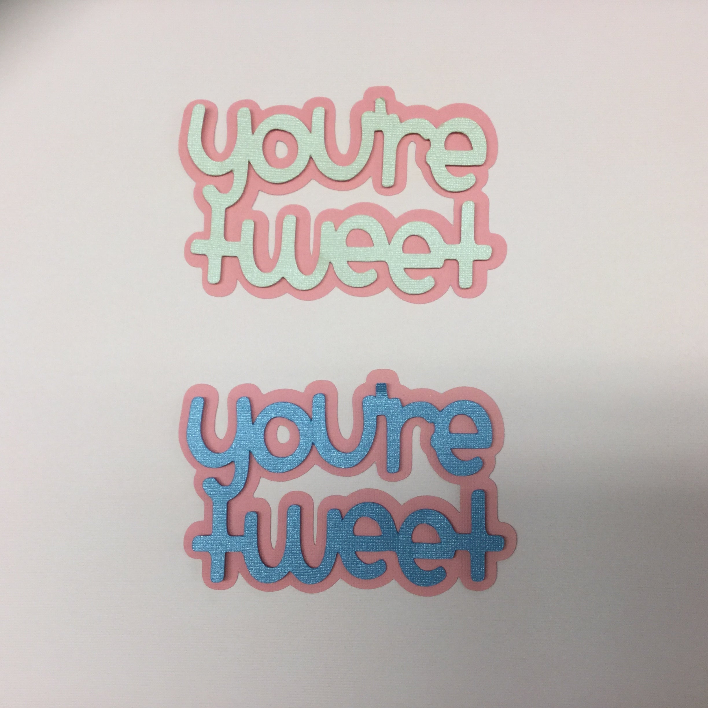 547A5F79-F13D-4661-A18A-296690347075.jpeg YOU’RE TWEET Serendipity Custom Scrapbook Die Cuts - Image 1