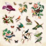 Peter Pauper The Sticker Book of CURIOSITIES - Image 4