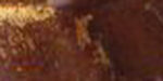 Prima Art Alchemy METALLIQUE HAZELNUT Acrylic Paint - Image 2