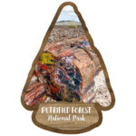 PETRIFIED FOREST KIT Papers and Stickers 5pc National Park Arizona - Image 6