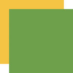 Echo Park I Love School GREEN & YELLOW Solids 12"X12" Scrapbook Cardstock