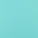 BAZZILL CARDSTOCK 12"X12" 1 Sheet Solid Core - Image 13