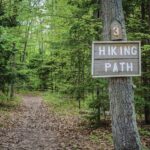 Paper House HIKING PATH  12"X12" Scrapbook Paper - Image 2