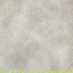Scrapbook Customs SAFARI ELEPHANT 12"X12" Scrapbook Paper - Image 3