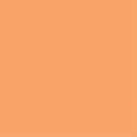 Echo Park Summer Dreams DARK PINK ORANGE Solids 12"X12" Scrapbook Cardstock - Image 2