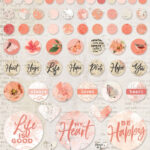 49 and Market Vintage Artistry WISHING BUBBLES & BAUBLES CORAL 67pc
