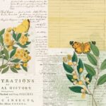 49 and Market Curators Botanical NATURAL HISTORY 12"X12" Scrapbook Paper - Image 2
