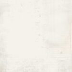 49 and Market Curators Botanical NATURAL HISTORY 12"X12" Scrapbook Paper - Image 3