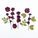 49 and Market WILDFLOWERS PLUM Handmade Paper Flowers 12pc - Image 14
