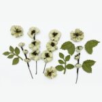 49 and Market WILDFLOWERS CELERY Handmade Paper Flowers 12pc - Image 3