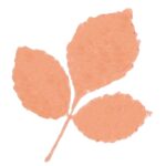 Nuvo Diamonds Ink Pads CORAL SKIES - Image 4