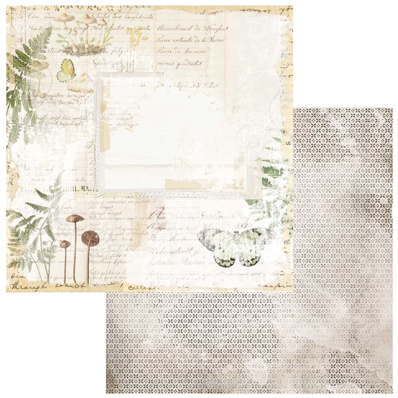 689567PR.jpg 49 and Market Vintage Artistry Nature Study FUSION 12"X12" Scrapbook Paper - Image 1
