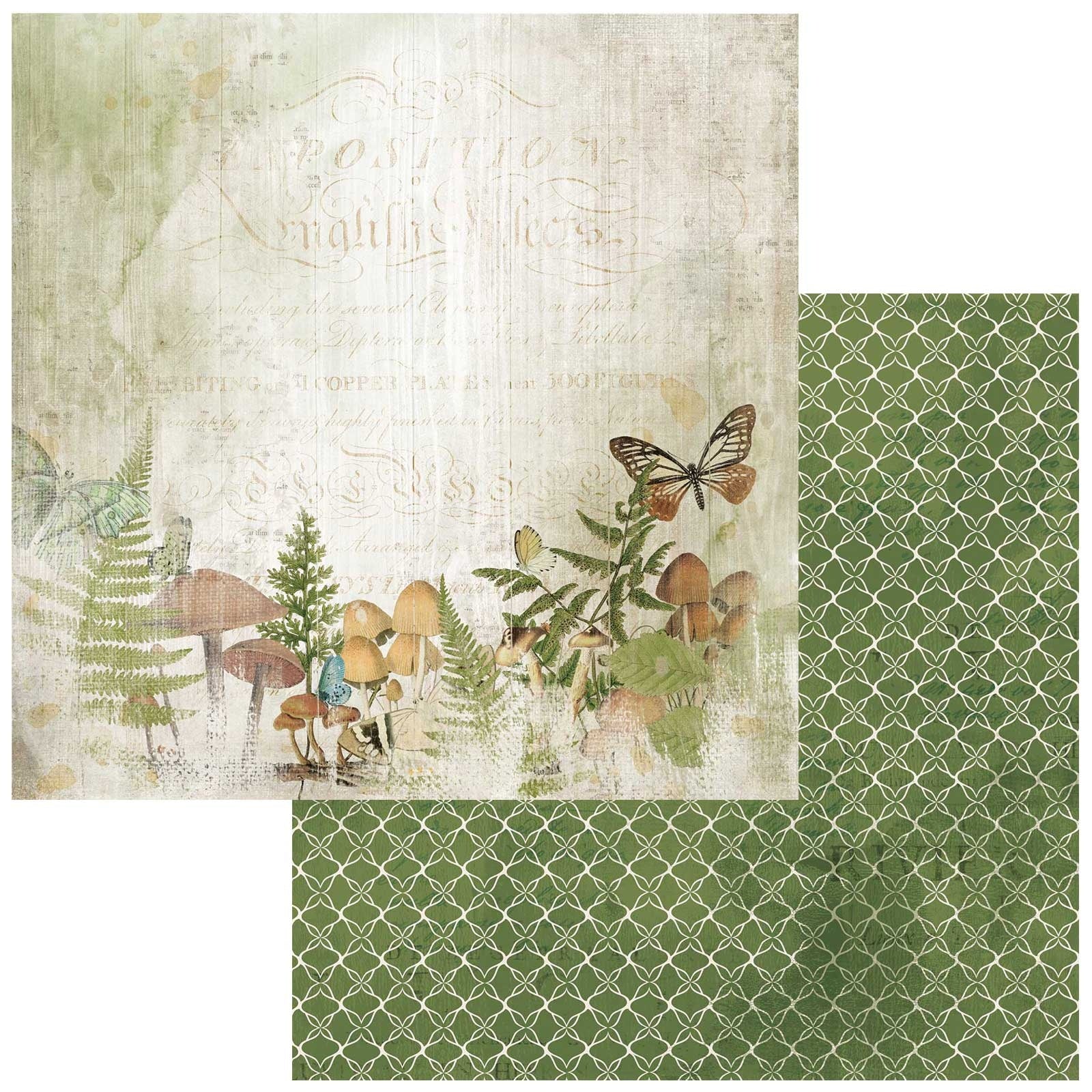 689579PR.jpg 49 and Market Vintage Artistry Nature Study NATURAL HABITAT 12"X12" Scrapbook Paper - Image 1