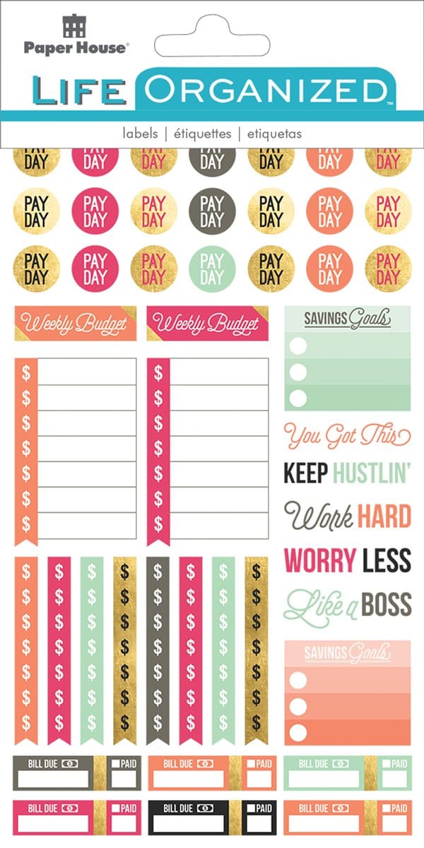 6FC3830C-81B6-4E88-88F6-6548DFB32081.jpg Paper House Life Organized BUDGET WEEKLY PLANNER Sticker Pack - Image 1