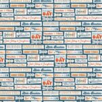 Echo Park SUMMER VIBES 12"X12" DoubleSided Scrapbook Paper - Image 6