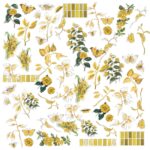 49 and Market Color Swatch OCHER ACETATE ASSORTMENT 64pc - Image 2