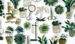 Craft Consortium BOTANY BOUTIQUE Chipboard Ephemera - Image 3