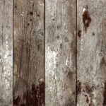 49 and Market VINTAGE ORCHARD 12”X12” Scrapbook Paper - Image 12