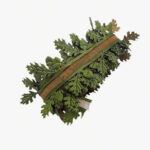 May Arts ORGANZA SATIN LEAF RIBBON Shaped Trim