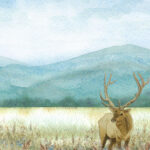 Scrapbook Customs ELK DS Watercolor 12"X12" Paper - Image 3