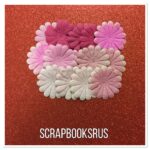 Pink Daisies from ScrapbooksRUs 15pc