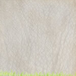 Scrapbook Customs SAFARI RHINO 12"X12" Scrapbook Paper - Image 3