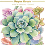 Paper House SUCCULENTS Diecut Stickers 24pc