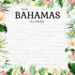 Scrapbooksrus BAHAMAS VACAY 12”X12” Scrapbook Kit - Image 6