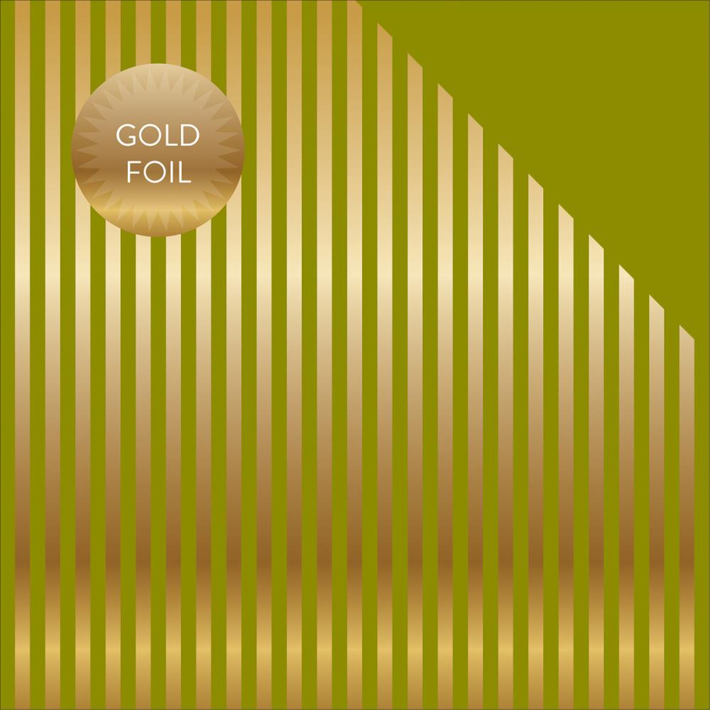 78350418-6D72-477B-9864-6F4BE461F65E.jpeg Echo Park Dots & Stripes 12"X12" GOLD FOIL STRIPE GREEN - Image 1