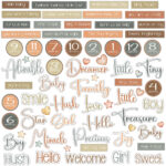 49 and Market LITTLE DREAMERS Chipboard Words 71pc - Image 2