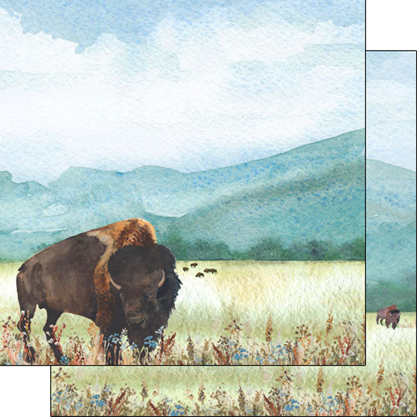 81AFEDAB-8BAE-43FA-9E93-47368C0FF96B.jpg Scrapbook Customs BUFFALO BISON DS Watercolor 12"X12" Scrapbook Paper - Image 1