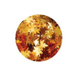 Nuvo Pure Sheen HARVEST MOON 4 Bottles Pack - Image 3
