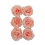 Prima THE PLANT DEPARTMENT Peachy Flowers 6pc - Image 2