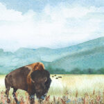 Scrapbook Customs BUFFALO BISON DS Watercolor 12"X12" Scrapbook Paper - Image 2