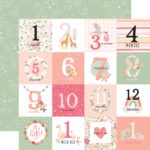 Echo Park WELCOME BABY GIRL 12"X12" Scrapbook Collection Kit - Image 5