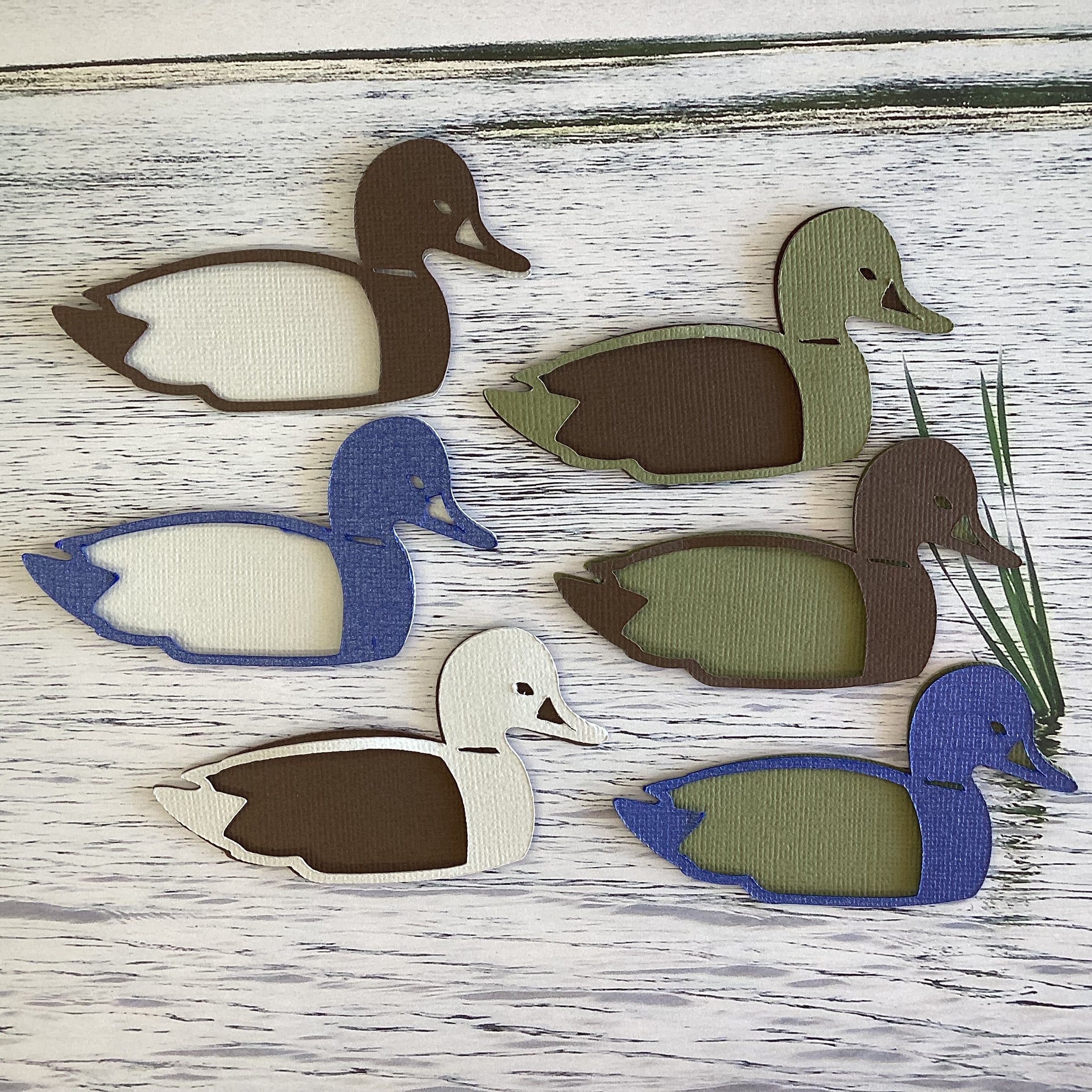 8BCD2F6B-5F83-4D1F-9CA0-9481CF17E631.jpg Custom Scrapbook FLOATING DUCK DieCut Embellishment - Image 1