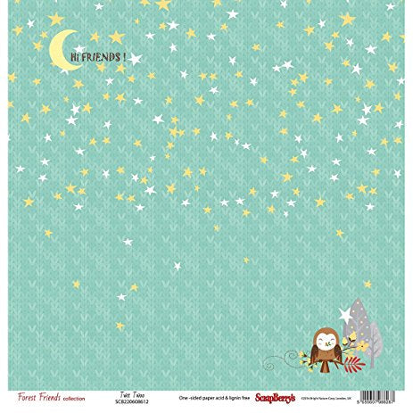 8D5557A5-9322-4D62-BFDC-787BF46F5B1A.jpeg Scrapberry’s Forest Friends TWIT TWOO 12"X12" Paper - Image 1