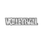 VOLLEYBALL WORD IMAGE Laser Cut Title 3"X12” 1pc