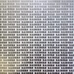 Scrapbooksrus RAIDERS FOOTBALL 12"X12" Scrapbook Paper Kit 12 Sheets - Image 15