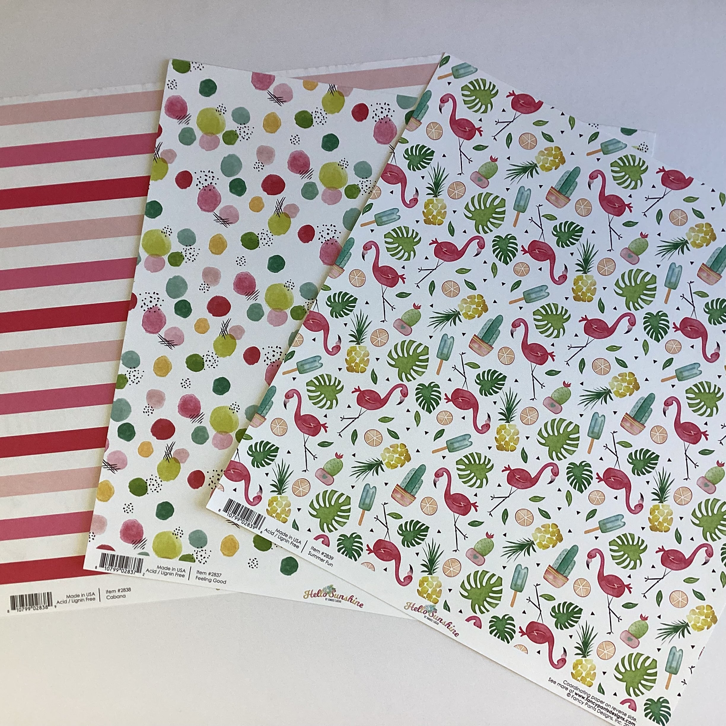998B55DF-7BA6-4C4B-A53E-0C840381FAD2.jpg Fancy Pants Designs HELLO SUNSHINE Paper - Image 1