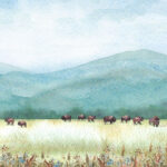 Scrapbook Customs BUFFALO BISON DS Watercolor 12"X12" Scrapbook Paper - Image 3
