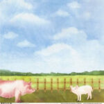 Scrapbook Customs PIG WATERCOLOR DOUBLE-SIDED 12"X12" Scrapbook Paper