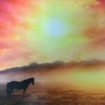 Reminisce HORSE PLAY Paper Pack 2pc - Image 2