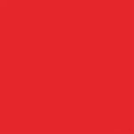 Echo Park Winnie the Pooh Christmas RED TAN Solids 12X12 Scrapbook Paper - Image 2