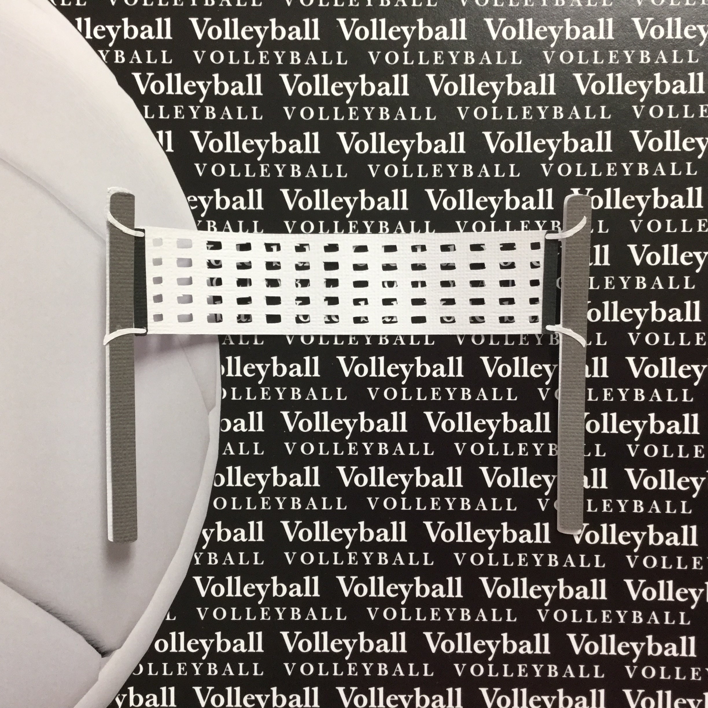 A9C30CE4-37A3-46B4-8042-615B8D71CC8C.jpg VOLLEYBALL COURT Sports Scrapbook Die Cuts - Image 1