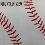 MOUNTAIN VIEW BASEBALL Pride Kit 12"X12" Scrapbook Paper - Image 6